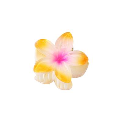 Plastic Claw Hair Clips