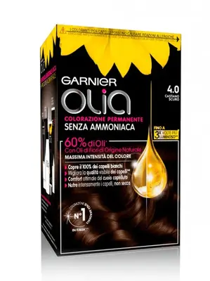 Garnier Olia Permanent Coloration Dark Brown N 4_0