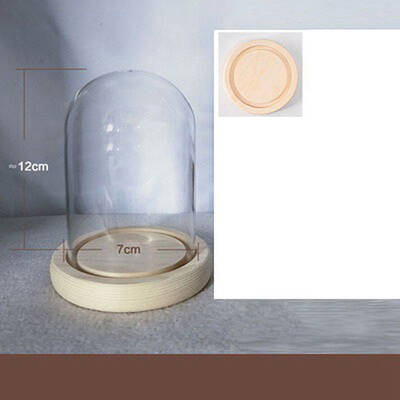 Arch Glass Dome Cover