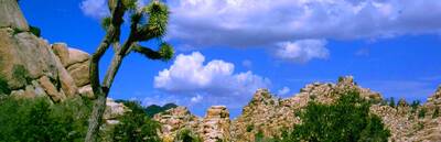 Joshua Tree National Park Audio Driving Tour