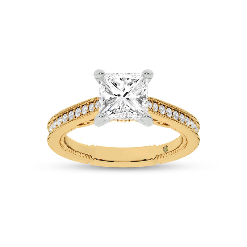 Oslo Vintage Inspired Hidden Accent Princess Cut Lab Grown Diamond Engagement Ring | 10K Yellow Gold 3 7/8 CT. TW.