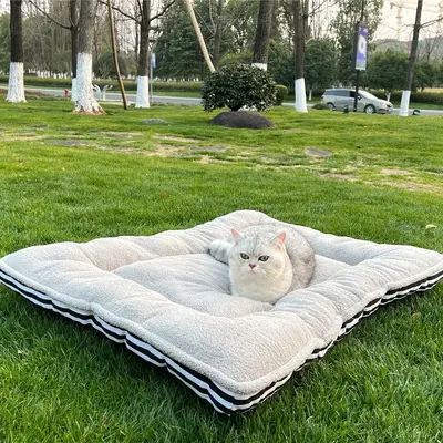 Pet Bed, Soft Plush Cat Bed, Pet Sleeping Mat, Outdoor Essential Items for Pets, Pet Accessories