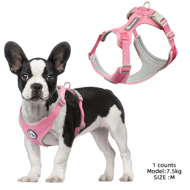 Breathable Mesh Harness for Small and Medium Size Dog, Outdoor Walking Harness, Pet Chest Strap, Light and Breathable Mesh Do...