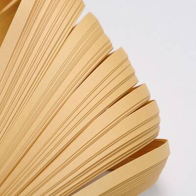 Quilling Paper Strips