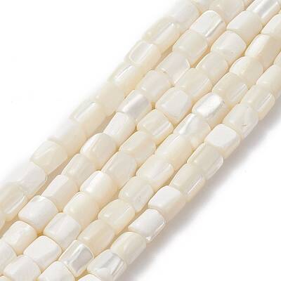 Natural Sea Shell Column Bead Strands