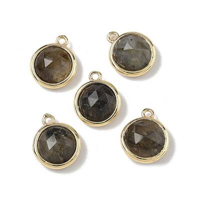 Brass Pave Natural Labradorite Faceted Flat Round Charms