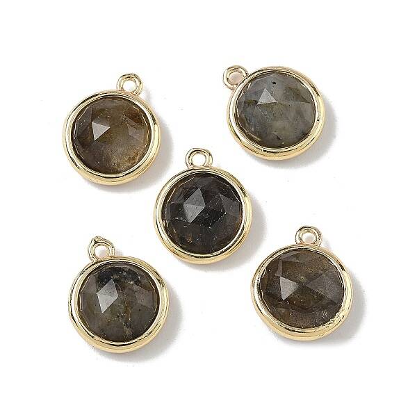 Brass Pave Natural Labradorite Faceted Flat Round Charms