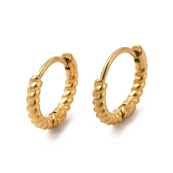 316 Stainless Steel Hoop Earrings for Women