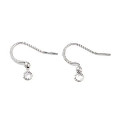 Tarnish Resistant 316 Surgical Stainless Steel Earring Hooks