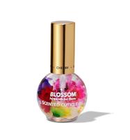 1/2 oz. Cuticle Oil - Fruit Scent