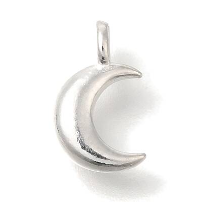 925 Sterling Silver Charms