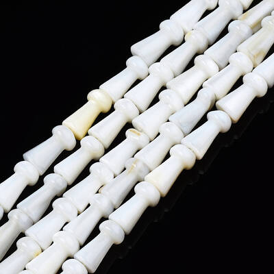 Natural Freshwater Shell Beads Strands