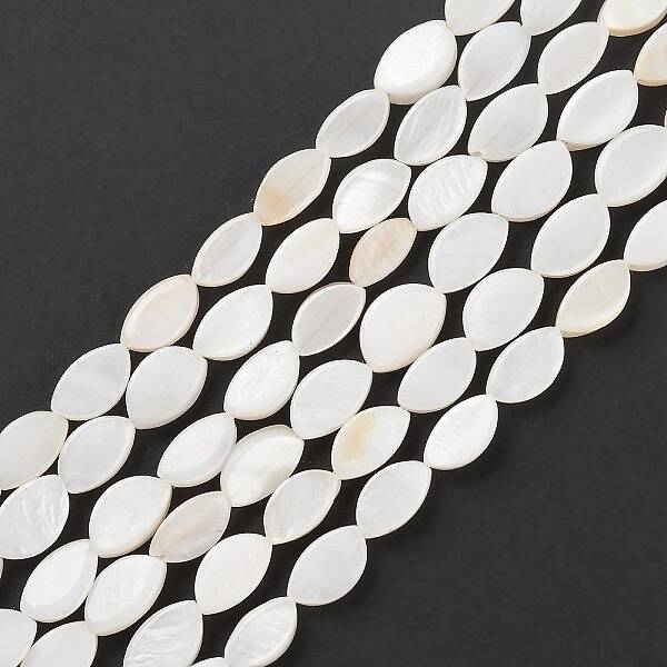 Natural Freshwater Shell Beads Strands