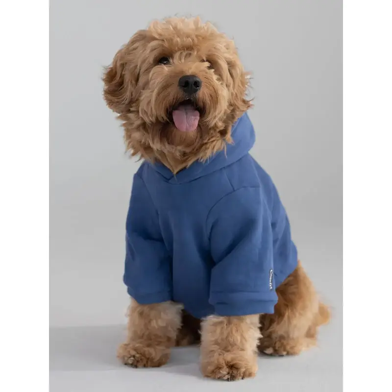 Standard Paw Hoodie