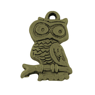 Tibetan Style Alloy Owl Pendants