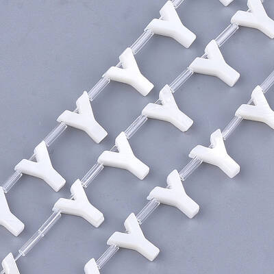 Natural Freshwater Shell Beads