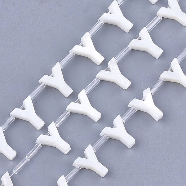 Natural Freshwater Shell Beads