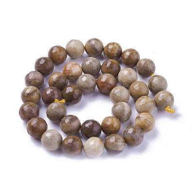 Natural Petrified Wood Beads Strands