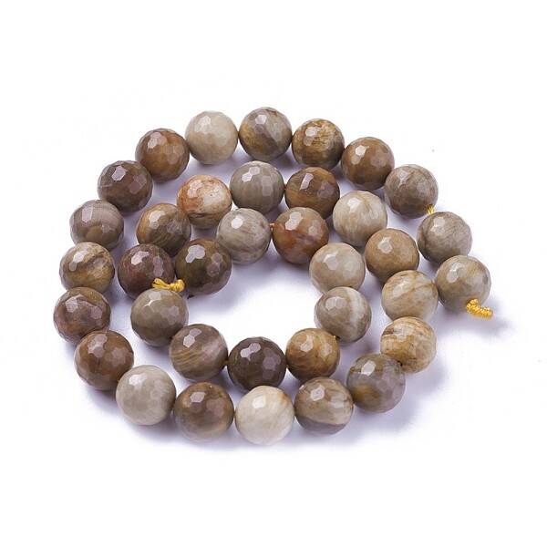 Natural Petrified Wood Beads Strands
