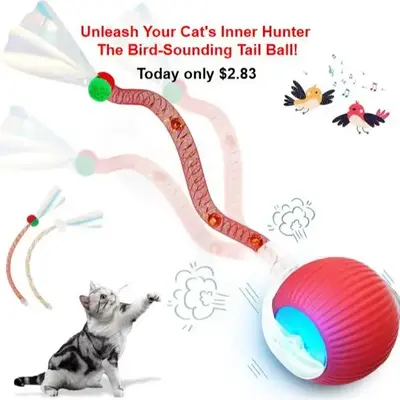 GoliPal Cat&Dog Toy - Interactive USB Rechargeable  Ball Toy on Rug with Bird Chirping, Anti-Depression Fun Gift for Cats & D...