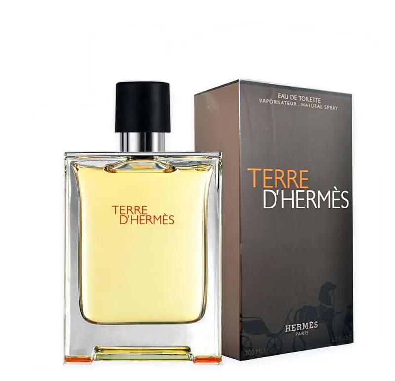 Hermes Terre D´ Hermes - EDT - Volume: 100 ml