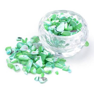 Natural Sea Shell Beads