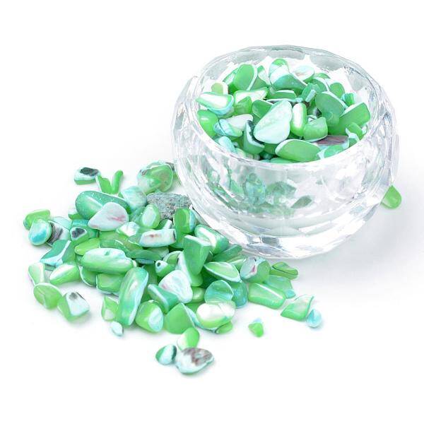 Natural Sea Shell Beads