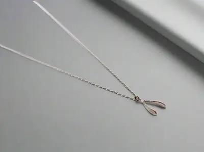 Wishful Silver Necklace | Color: Silver