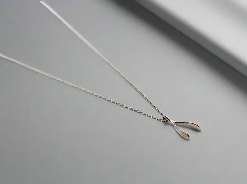 Wishful Silver Necklace | Color: Silver