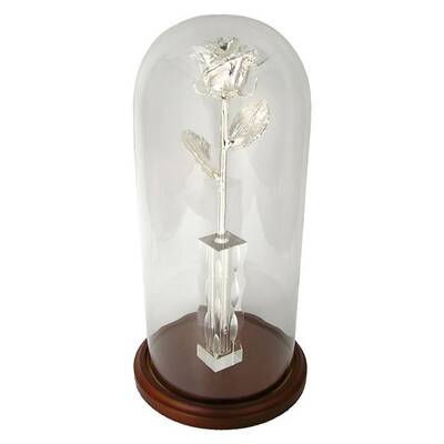 25th Anniversary 11 Enchanted Silver Dipped Rose