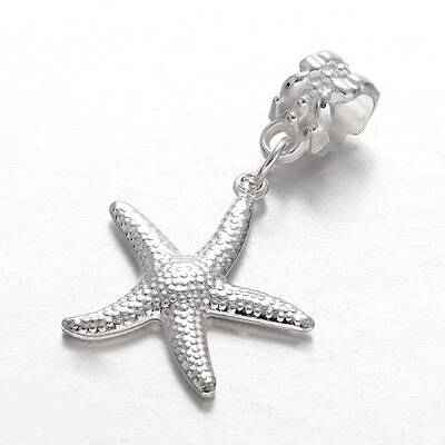 Alloy European Dangle Charms