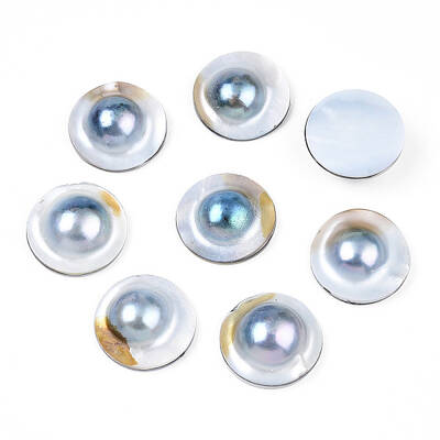 Natural Shell Cabochons