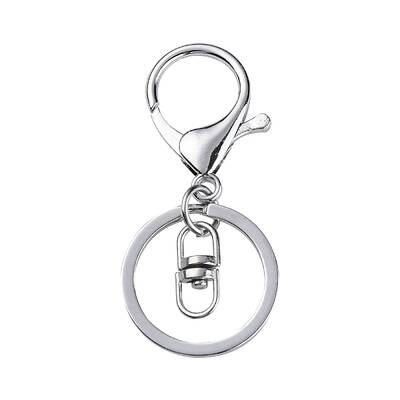 Iron Alloy Lobster Claw Clasp Keychain