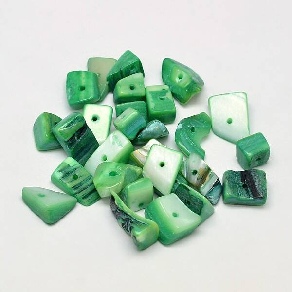 Dyed Natural Freshwater Shell Nuggets Chips Beads