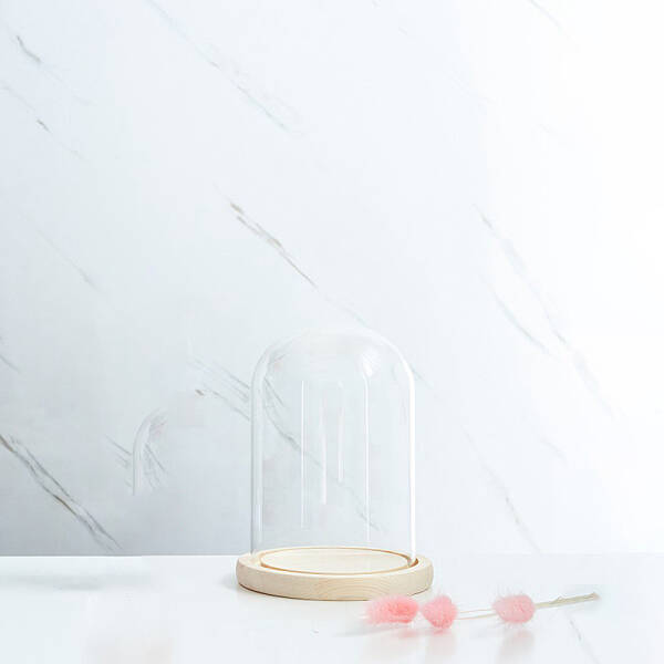 Glass Dome Cover