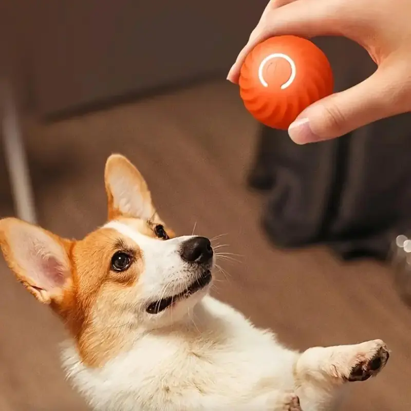 Automatic Rolling Dog Toy, Durable Dog Bouncing Ball, Dogs Teething Toy, Pet Interactive Toy, Grinding and Biting Toy Ball, I...