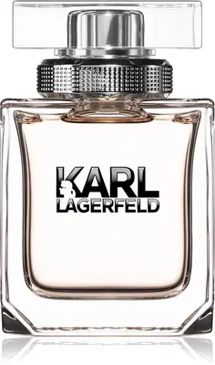 Karl Lagerfeld Perfume for Women - Eau de Parfum Spray 2.8 oz