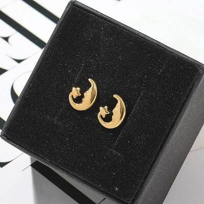 304 Stainless Steel Stud Earrings for Women