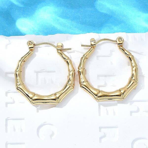 304 Stainless Steel Hoop Earrings for Women