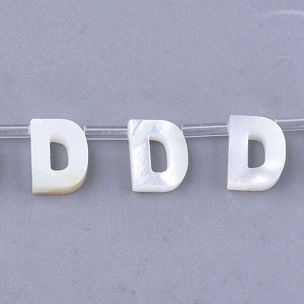 Natural Sea Shell Beads