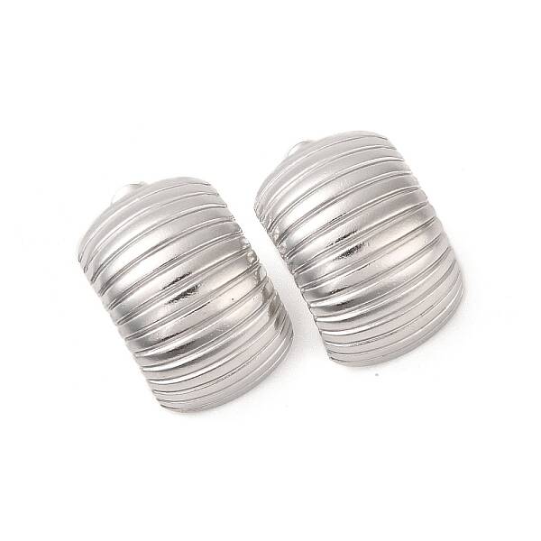 Non-Tarnish 304 Stainless Steel Stud Earrings for Women
