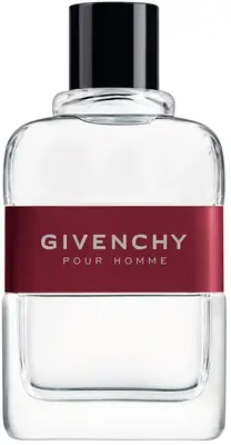GIVENCHY Givenchy Eau de Toilette for men 100 ml