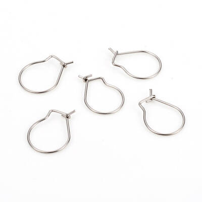 Non-Tarnish 304 Stainless Steel Hoop Earrings