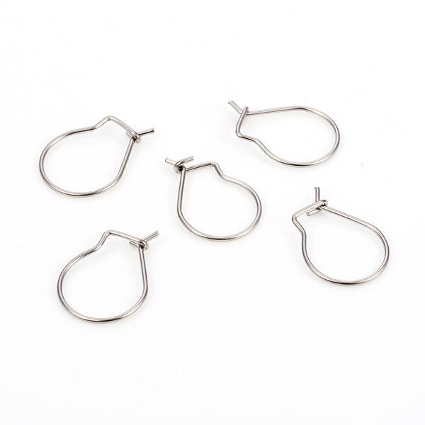 Non-Tarnish 304 Stainless Steel Hoop Earrings