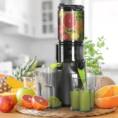 LQZ Cold Press Juicer, Slow Masticating Juicer Machines, 350W Juice Extractor, 4.3\