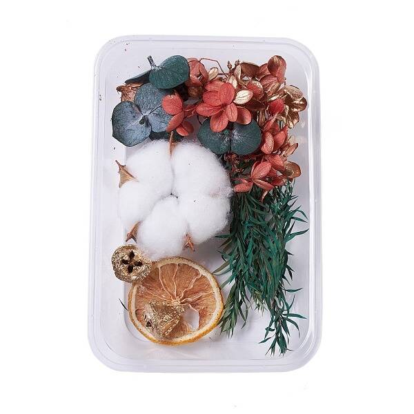 Dried Flowers