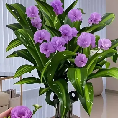 brazilian lucky wood, 2025 New Lucky Brazilian Wood Potted Plant, Mini Brazil Wood Hydroponic Plant, Desktop Decoration with ...