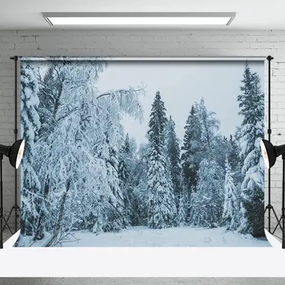 Snowy Pine Forest Photography Backdrop In The Evening - Aperturee