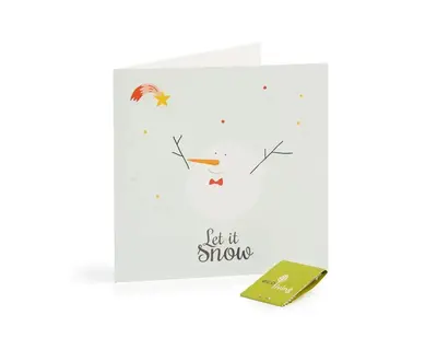 Recycled Christmas Cards - Cute Animal Cards (FSC 100%) | Style: Snowman