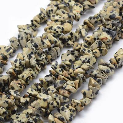 Natural Dalmatian Jasper Beads Strands
